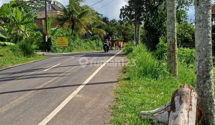 TOP URGENT DI JUAL TANAH PINGGIR JALAN VIEW HUTAN & SUNGAI LOKASI PEJENG KAJA UBUD GIANYAR
 2