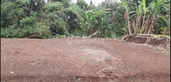 TOP URGENT DI JUAL TANAH LOKASI TEGES PELIATAN UBUD GIANYAR
 2