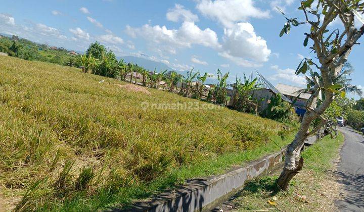 TOP URGENT FOR SALE LAND VIEW SAAH LOCATION TIYING TUTUL PERERENAN CANGGU KUTA UTARA BADUNG
 1