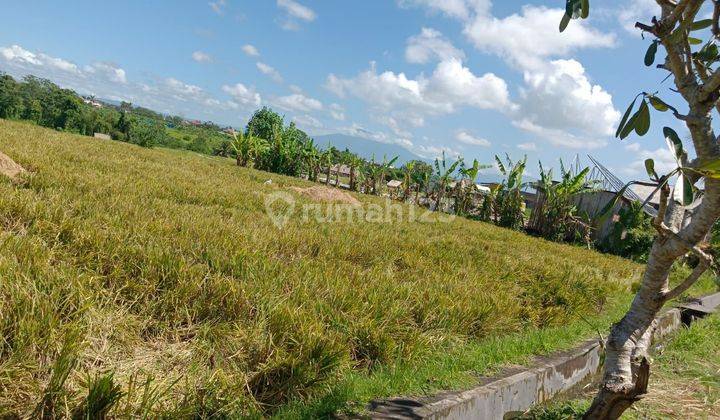 TOP URGENT FOR SALE LAND VIEW SAAH LOCATION TIYING TUTUL PERERENAN CANGGU KUTA UTARA BADUNG
 2