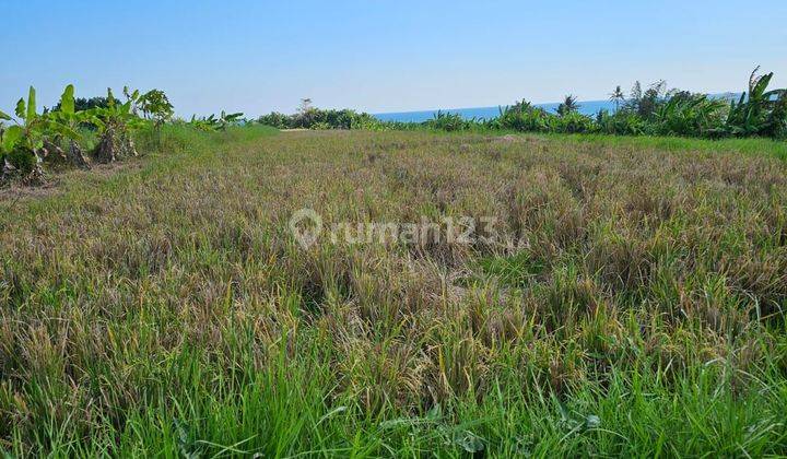 TOP URGENT LAND FOR SALE LOSS BEACH VIEW SEA LOCATION SUDIMARA TABANAN 1