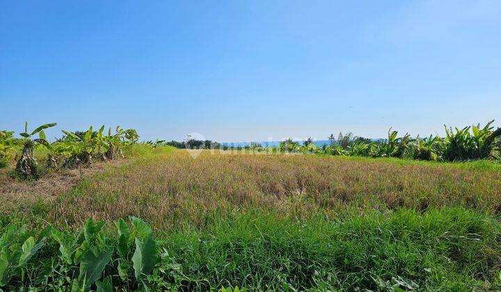 TOP URGENT LAND FOR SALE LOSS BEACH VIEW SEA LOCATION SUDIMARA TABANAN 2