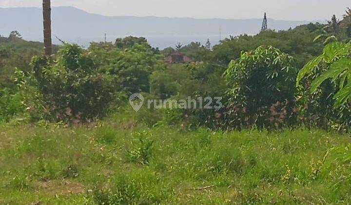 TOP URGENT FOR SALE LAND TULIKUP GIANYAR LOCATION 1