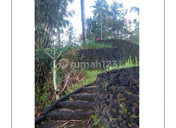 TOP URGENT FOR SALE LAND LOCATION TEGALLALANG UBUD GIANYAR 2