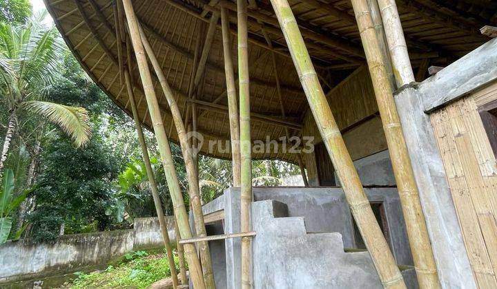 TOP URGENT FOR SALE LAND BONUS BUILDING LOCATION KEDISAN TEGALLALANG UBUD GIANYAR  1