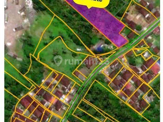 TOP URGENT LAND FOR SALE IN MEGATI SELEMADEG TABANAN LOCATION  2