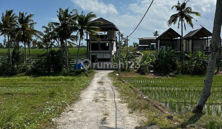 PASTI DEAL DI JUAL TANAH LOKASI NYANYI BERABAN TABANAN  2