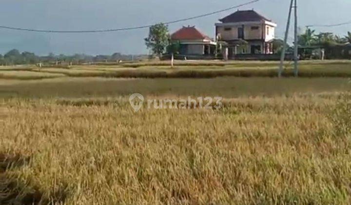 PASTI DEAL DI JUAL TANAH LOKASI CEMAGI MENGWI BADUNG 1