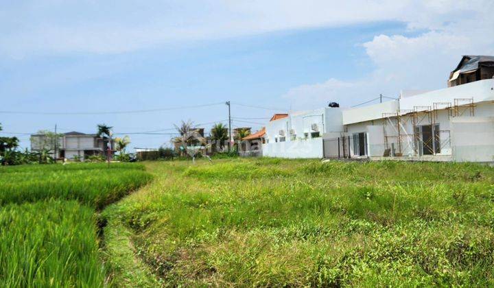 PASTI DEAL 
DI SEWAKAN TANAH VIEW SAWAH LOKASI CEMAGI MENGWI BADUNG 1