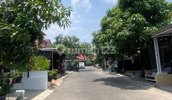 Affordable House Price Drop Pine Regency Cluster Soekarno Hatta Rq 2