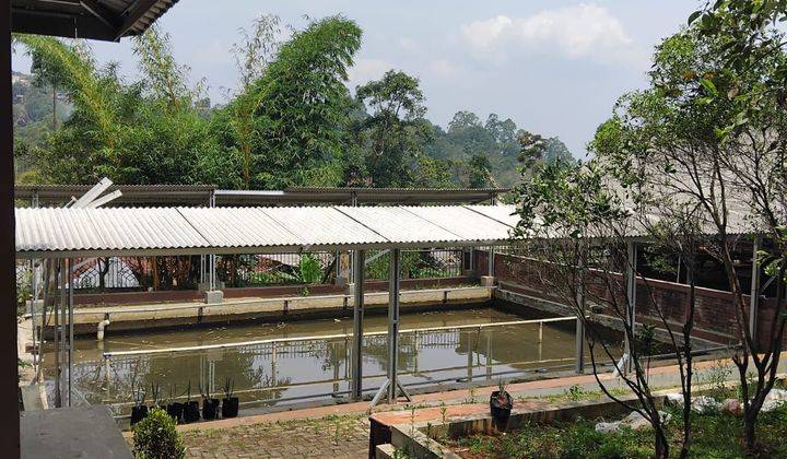 Rumah Villa Di Pasir Impun Murah Ajb Ada Kolam Ikan Kandang Sapi 2