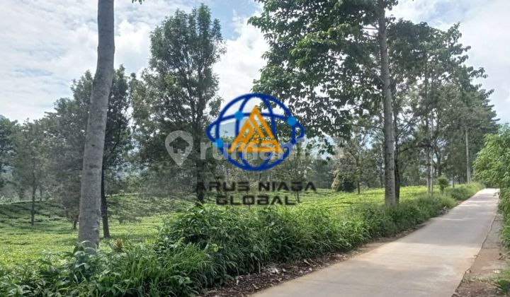 Dijual Tanah di Cisarua Bogor Bersertifikat SHM Dijual Tanah di Cisarua Bogor Bersertifikat SHM