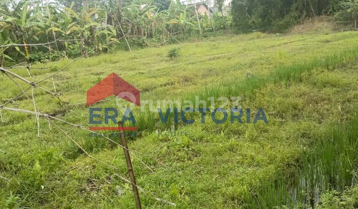 Tanah Luas Murah Di Sambirejo Gampeng Kediri Jawa Timurr
