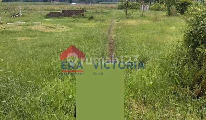 Tanah Murah Di Gurah Kediri