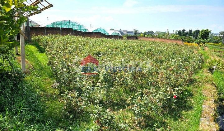 Tanah Datar Di Kota Batu Malang