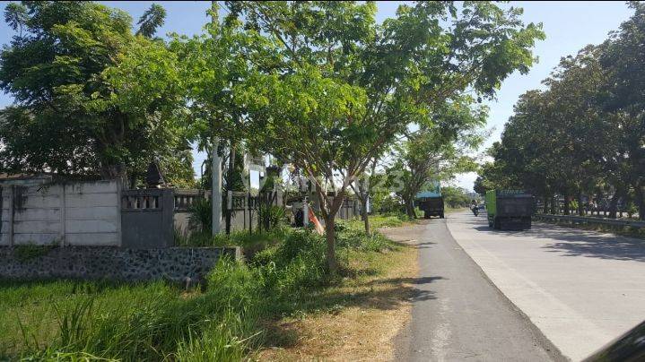 Land for Rent Ready to Build Suitable for Hospital, Beach Club in Gianyar Bali
 2