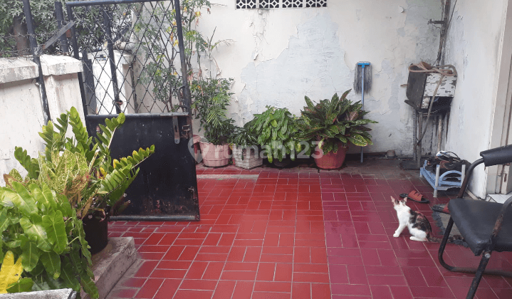 Rumah Tua Jual Cepat Cocok Buat Kost Kostan Di Batu Tulis Jakarta Pusat  2