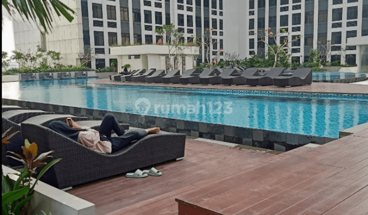 Apartment Type Studio Full Furnished Di Chadstone Cikarang  1