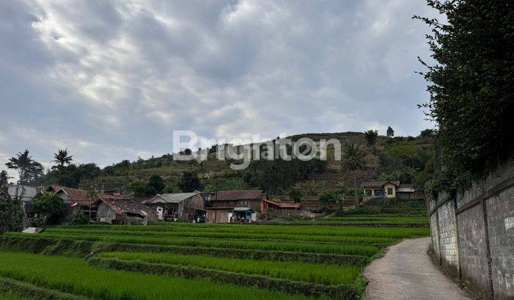 GUDANG DAN TANAH COCOK BUAT USAHA DI CICALENGKA 1