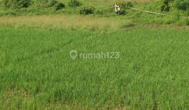 Dijual Murah Tanah Kavling di Kavling kawasan industri & perumahan, Karawang Timur 1