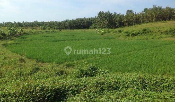 Dijual Murah Tanah Kavling di Kavling kawasan industri & perumahan, Karawang Timur 2