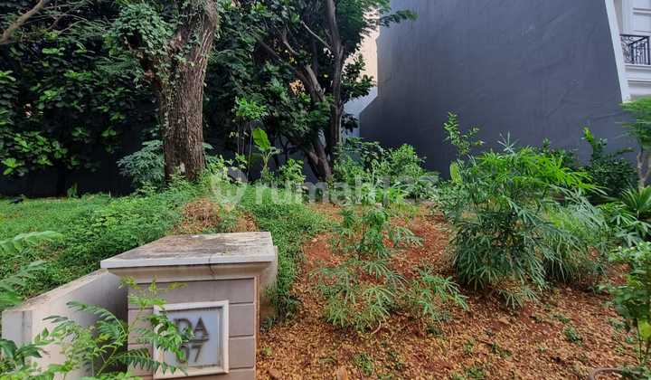 Kavling Orchard Luas 300m