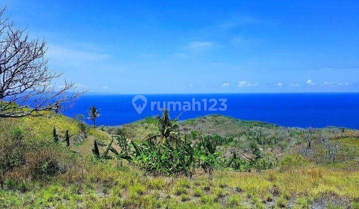 Kavling Bukit Murah Panjaban Nusa Penida View Laut Siap Bangun 10 1