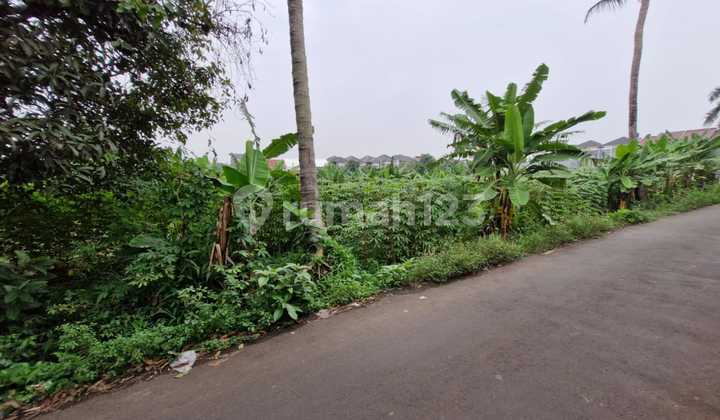 Dijual Cepat Tanah di Jl Anggrek Pondok Benda Pamulang Harga Nego