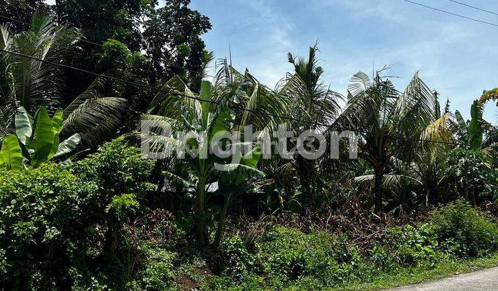 TANAH KOSONG PINGGIR JALAN KELATING 2