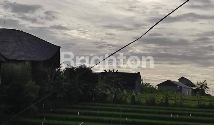 VILLA OMEGA BANJAR ANYAR KEROBOKAN 1