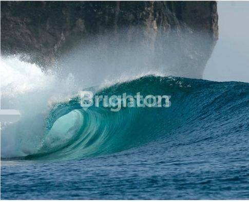 TANAH KOSONG PINGGIR PANTAI MALUK SUMBAWA 2