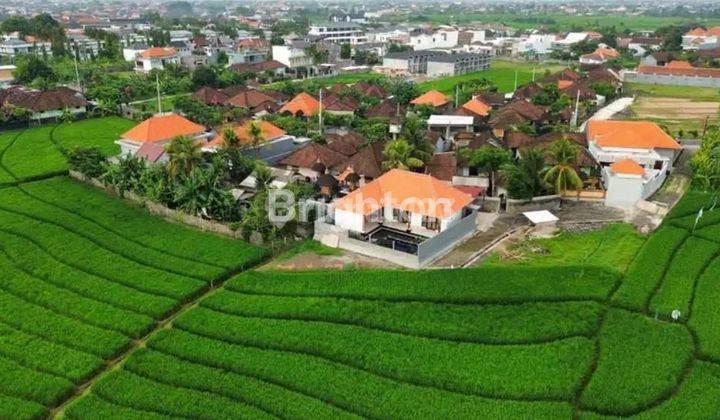 BRAND NEW VILLA CANGGU BABAKAN 1