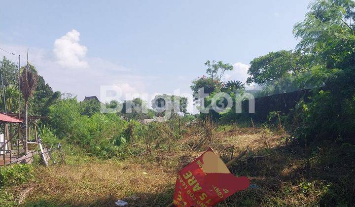 TANAH KOSONG MURAH  DEKAT DENGAN PANTAI CEMAGI PERERENAN 1