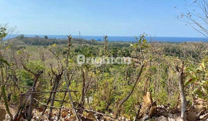 VACANT LAND 2Ha GEROKGAK BULELENG 1