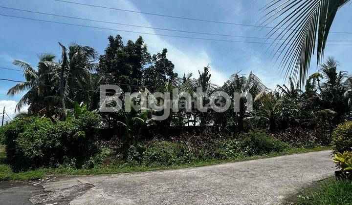 TANAH KOSONG PINGGIR JALAN KELATING 1