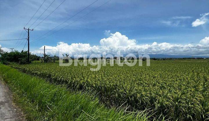 TANAH SEWA DEKAT PANTAI KELATING 1