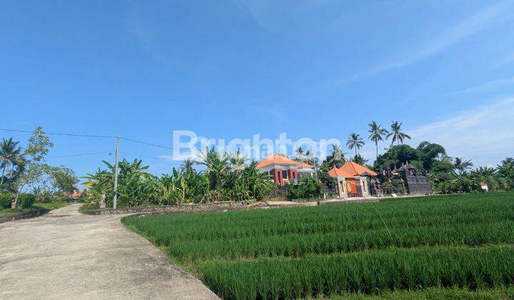 TANAH SAWAH KELATING 1