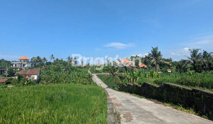 TANAH SAWAH KELATING 2