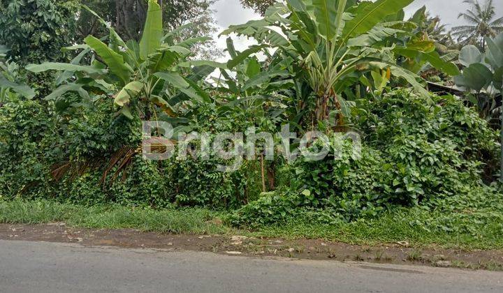 UBUD ROADSIDE LAND 1