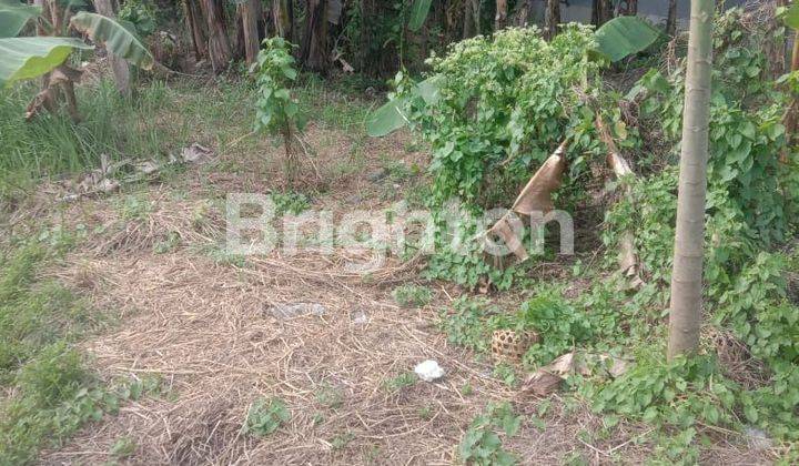 LAND READY TO BUILD IN ANGANTAKA 1