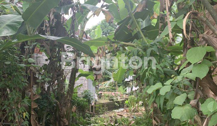 CHEAP LAND IN THE TABANAN REGION OF BALI 2