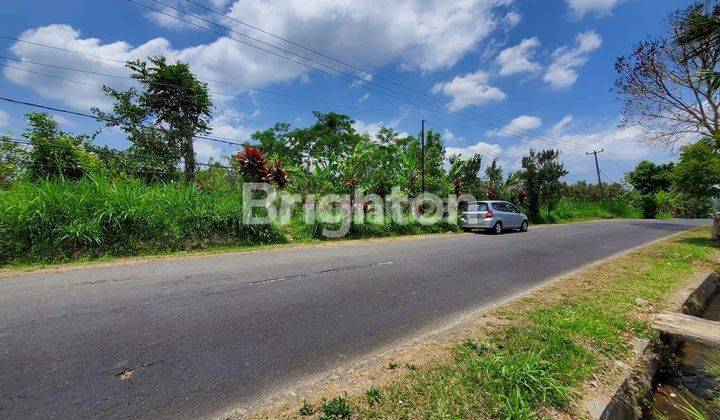 TANAH KEBUN SIAP BANGUN BADUNG UTARA 2