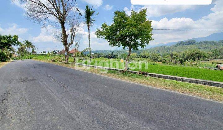 TANAH KEBUN SIAP BANGUN BADUNG UTARA 1