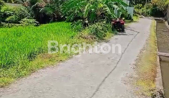 TANAG SAWAH AREA VILLA DEKAT UBUD 1