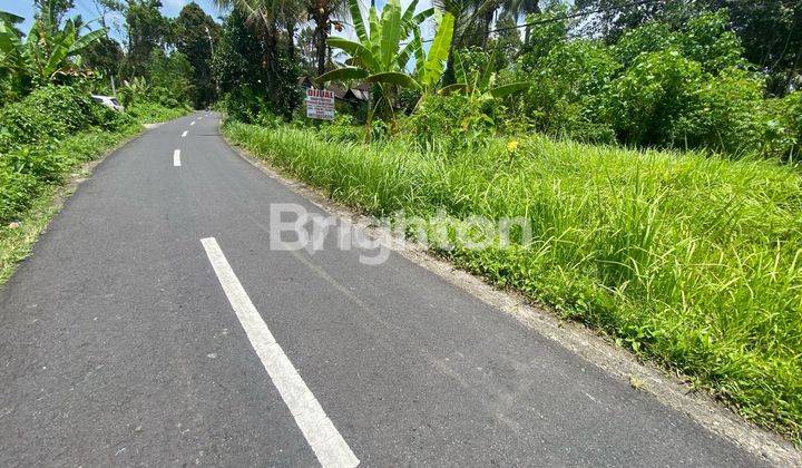 CHEAP LAND IN MARGA ON THE SIDE OF THE MAIN ROAD 2