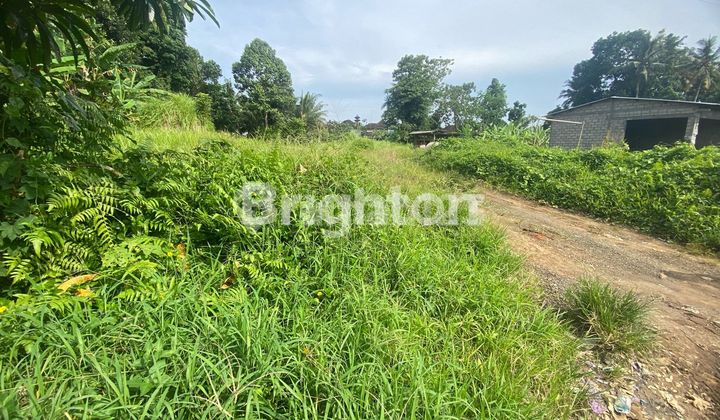 LAND BY THE SIDE OF MARGA TABANAN HIGHWAY LAND BY THE SIDE OF MARGA TABANAN HIGHWAY