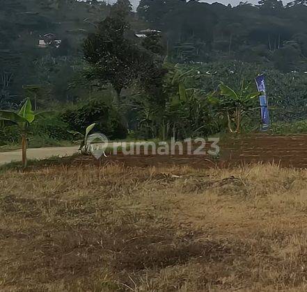 Tanah Komersial Puncak Cipanas Bisa Dibangun Villa,Cafe & Kebun 2