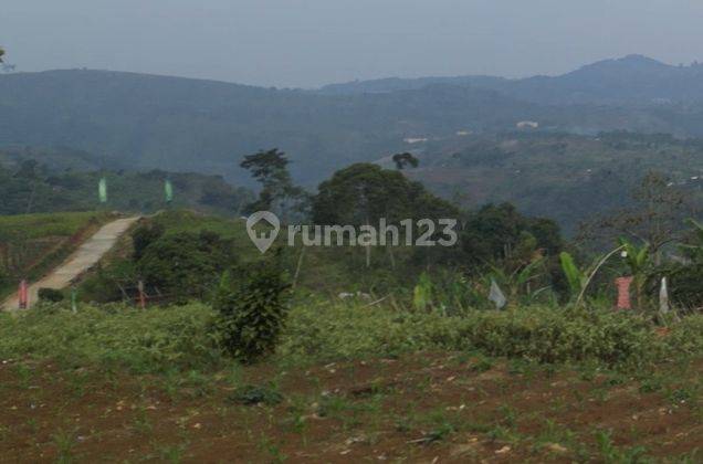 Jual Cepat Tanah Puncak Cipanas Pemandangan Gunung,Sawah & Sungai 2