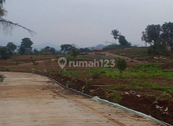 Kavling Villa & Sawah SHM Bogor Siap Panen Sistem bagi Hasil 2