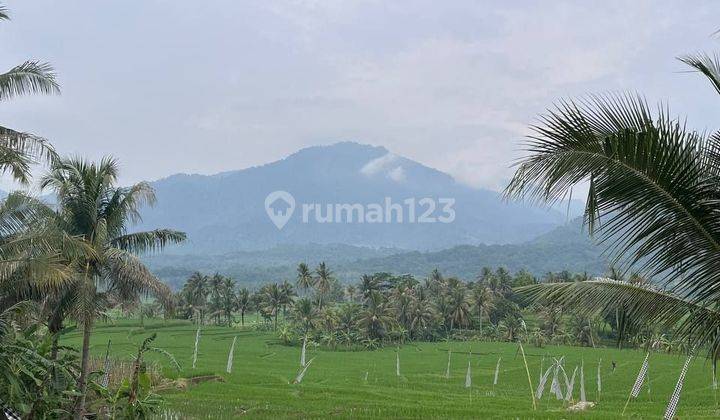 Kavling Villa & Sawah SHM Bogor Siap Panen Sistem bagi Hasil 1